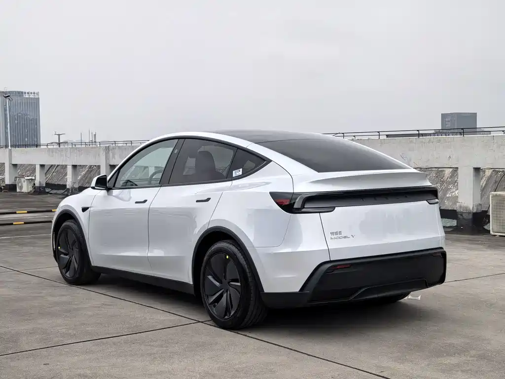 Tesla Model Y — миниатюра 7