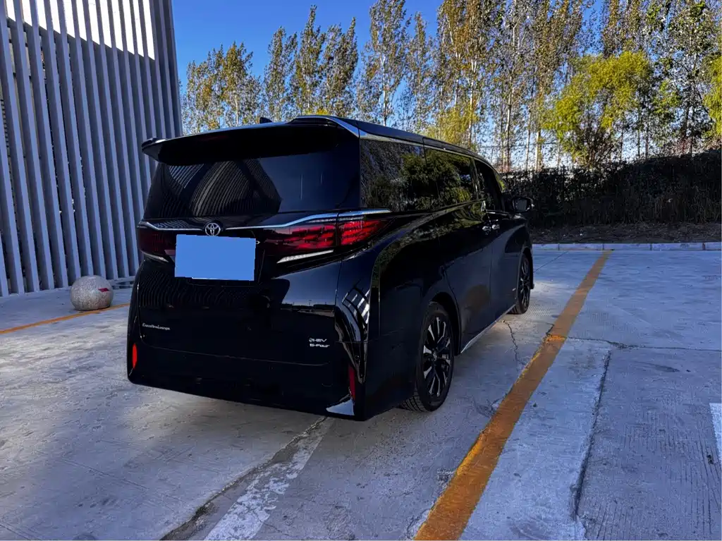 Toyota Alphard — миниатюра 19