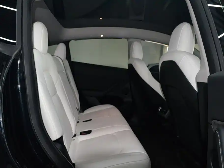 Tesla Model Y — миниатюра 14