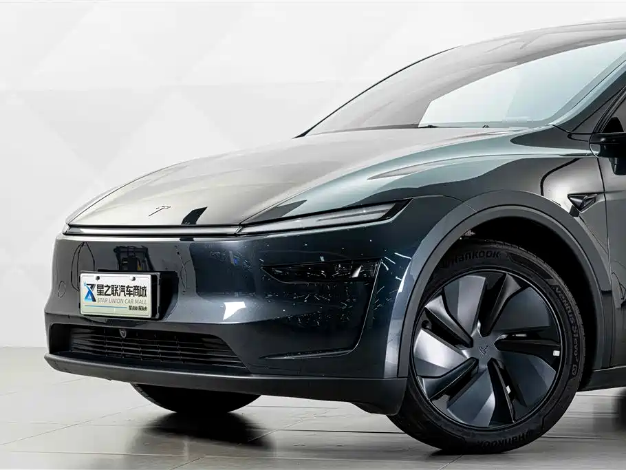 Tesla Model Y — миниатюра 3