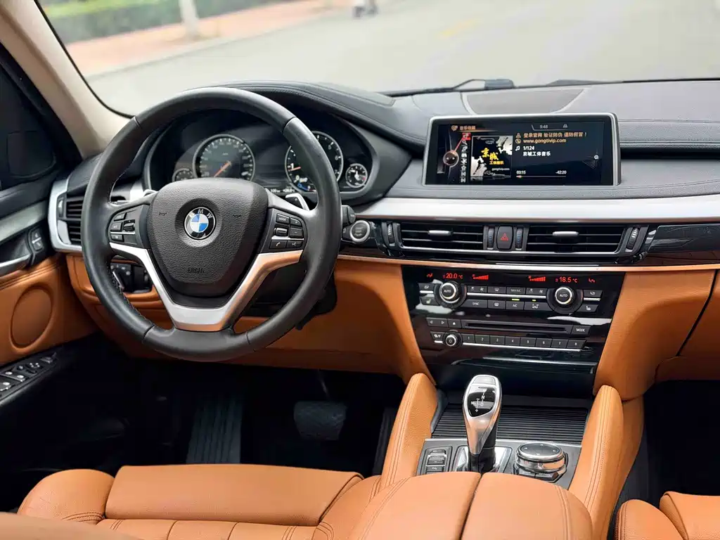 BMW X6 — миниатюра 5