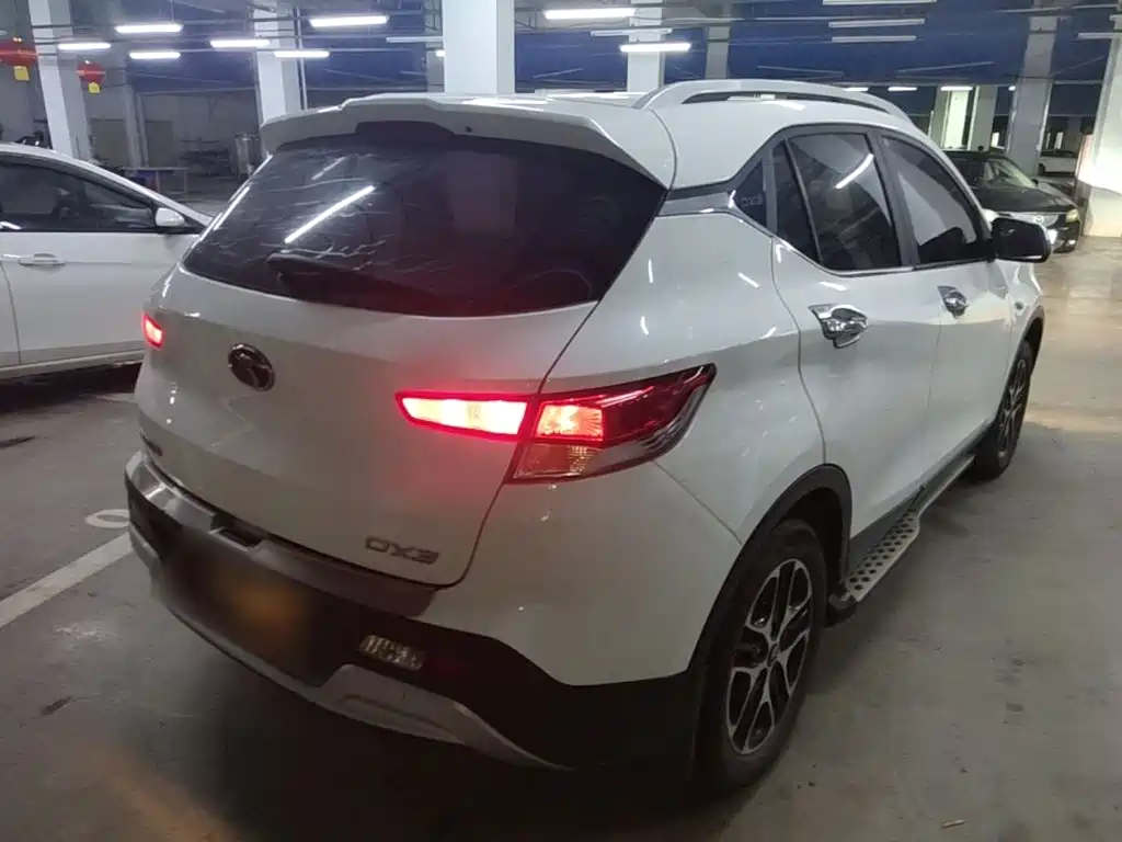 Soueast DX3 — миниатюра 7