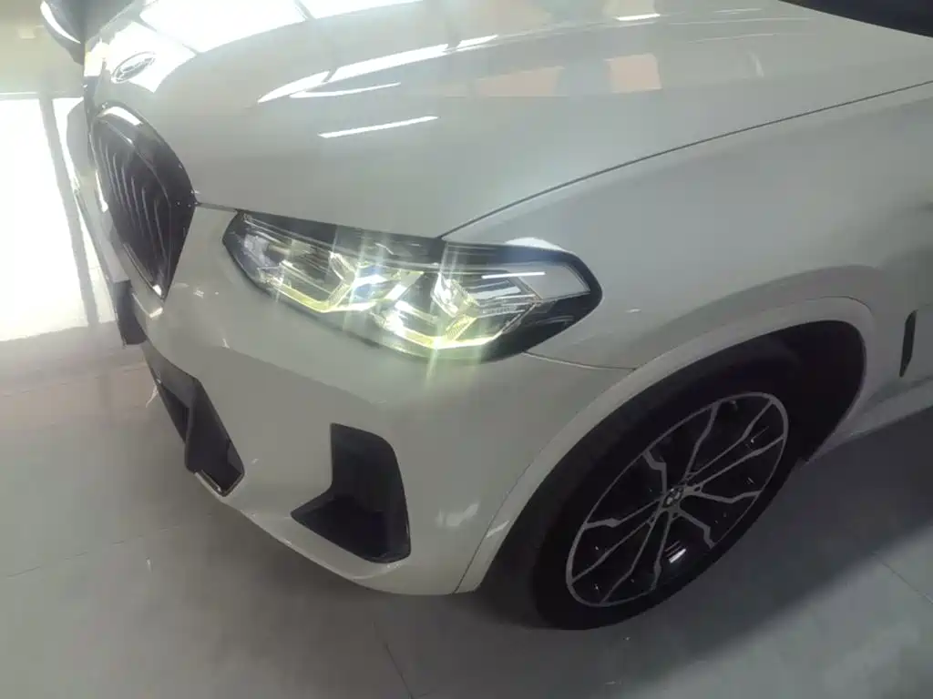 BMW X3 — миниатюра 24