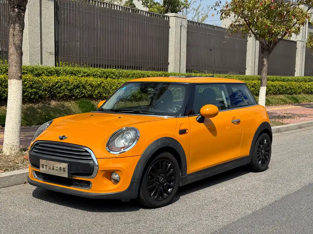 Mini Mini 2016