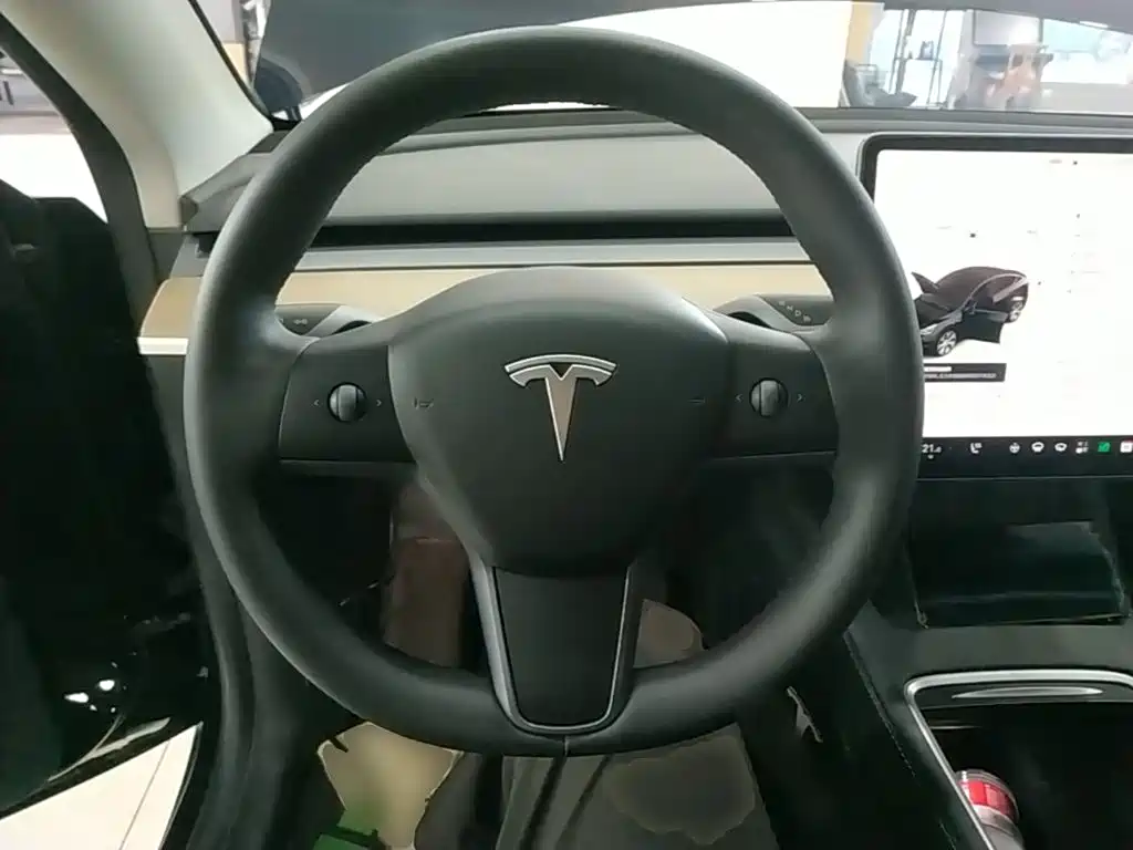 Tesla Model Y — миниатюра 11