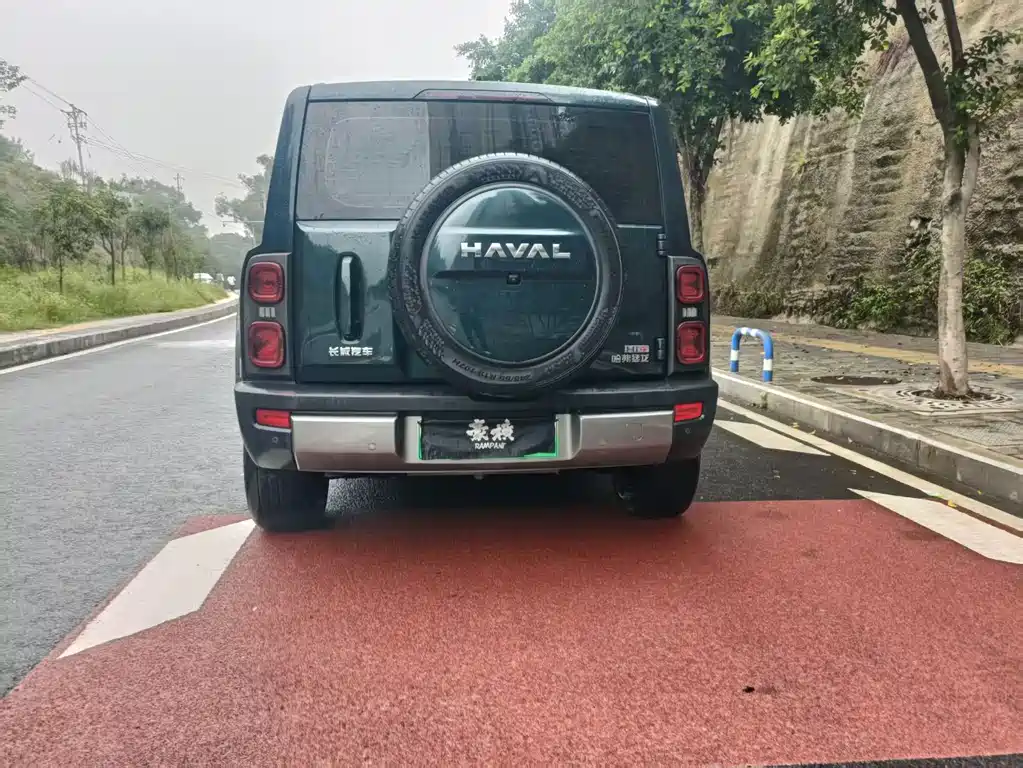 Haval Menglong New Energy — миниатюра 8