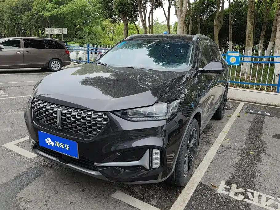 Wey Wey VV6 2020