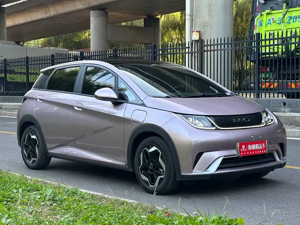 BYD Dolphin — миниатюра 3