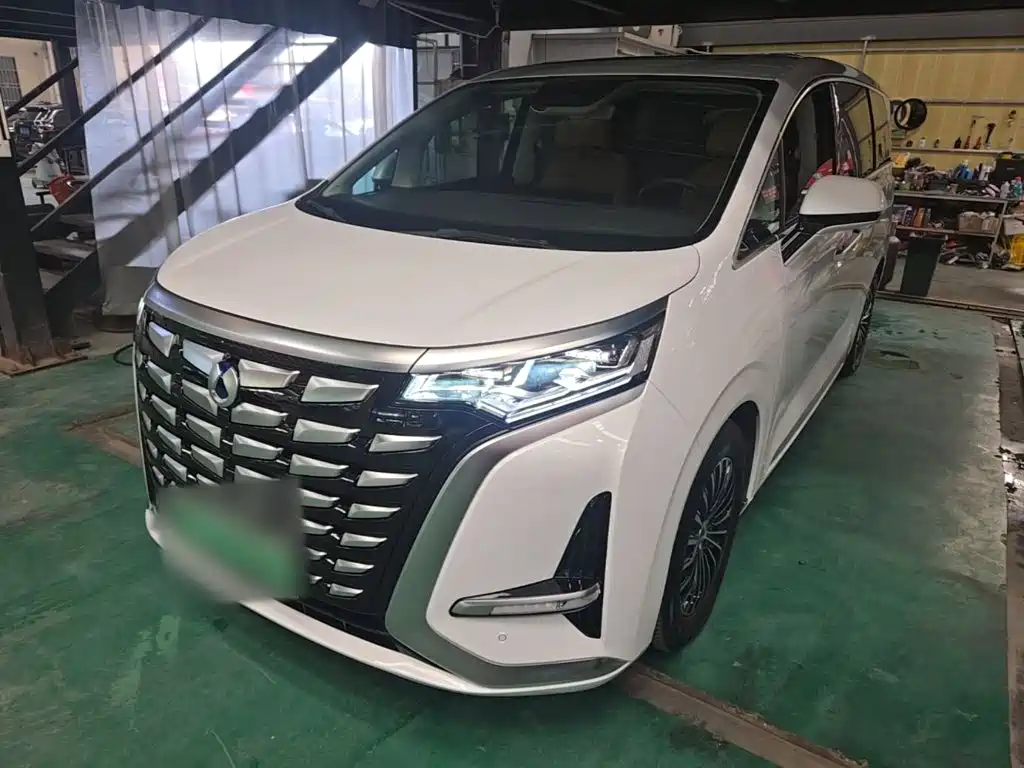 Denza Denza D9 — миниатюра 2