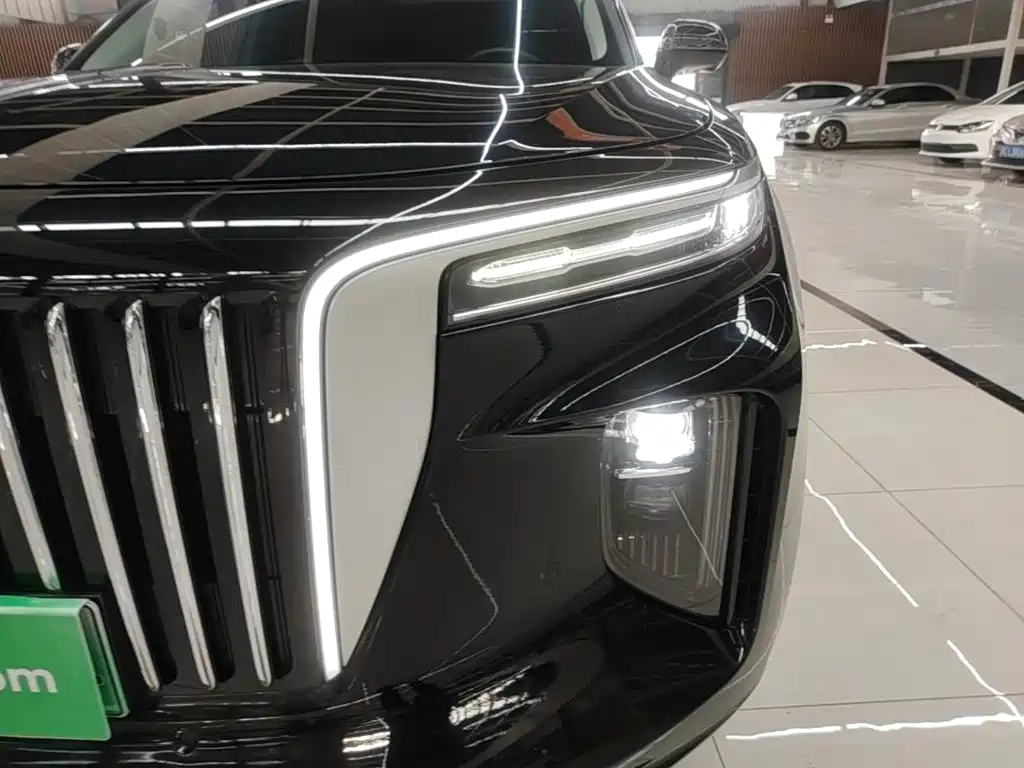 Hongqi Hongqi E-HS9 — миниатюра 24