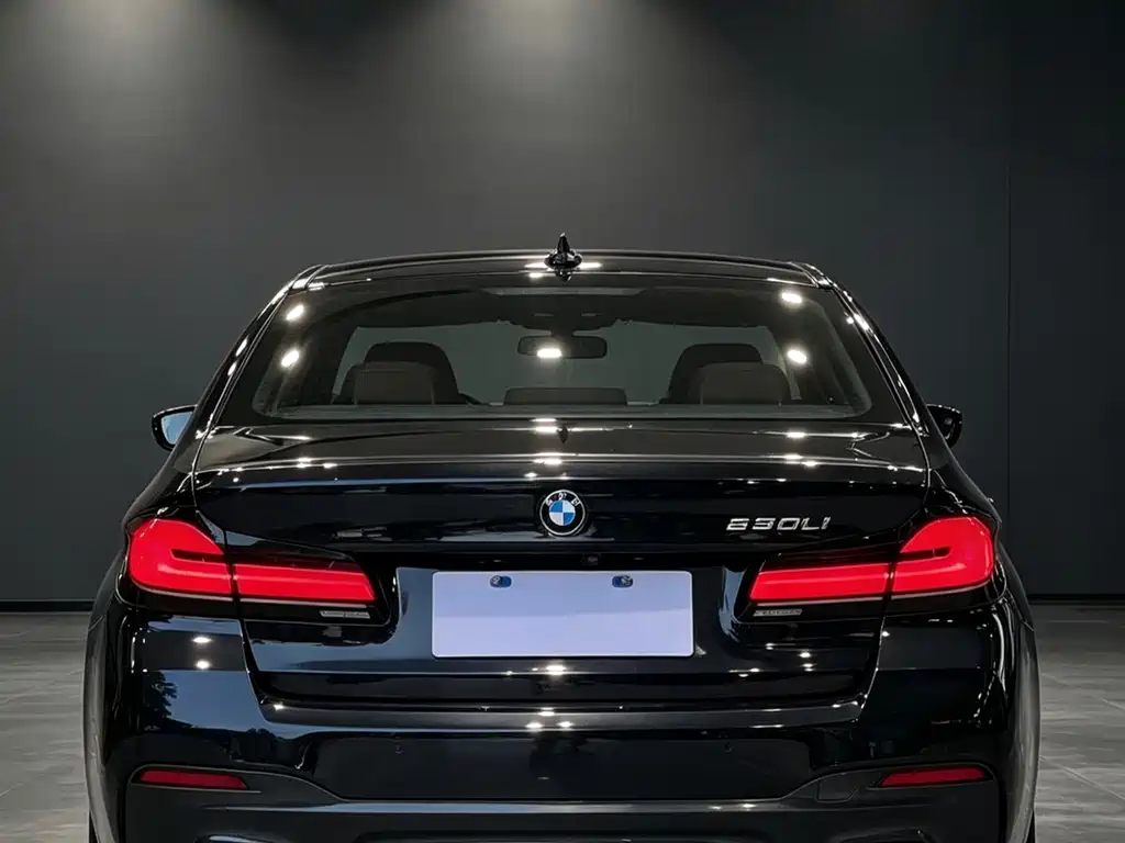 BMW 5 Series — миниатюра 8