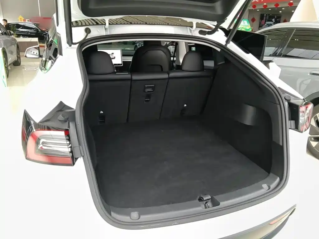 Tesla Model Y — миниатюра 19