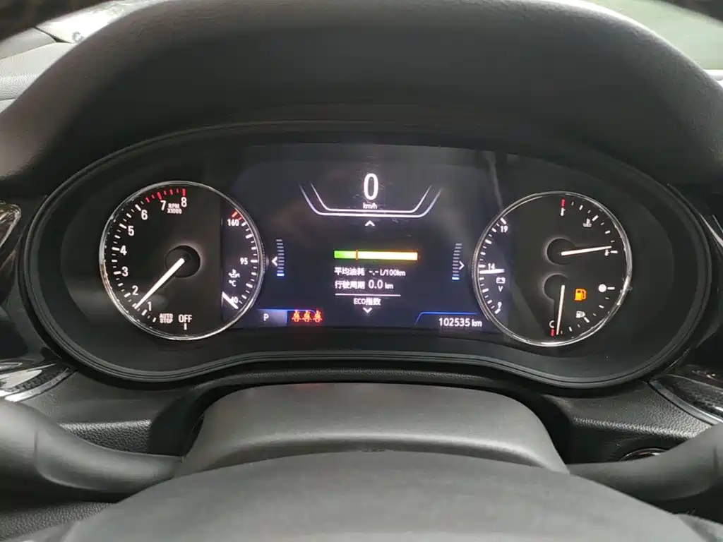 Buick Regal — миниатюра 12