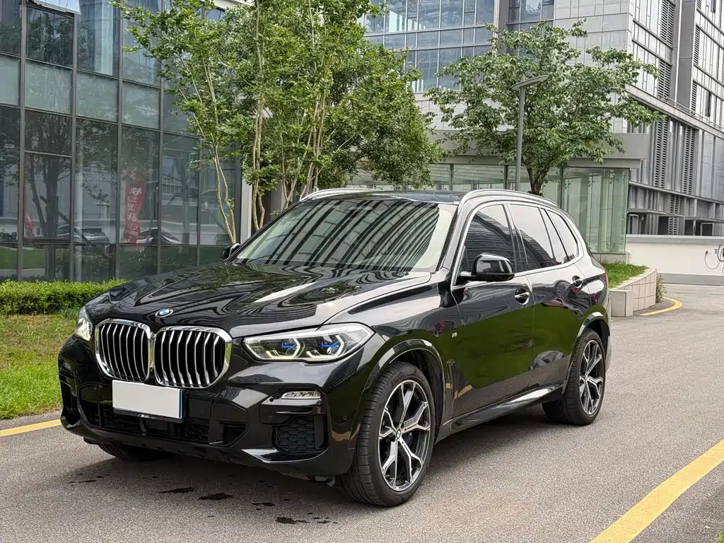 BMW X5 (Import) 2019