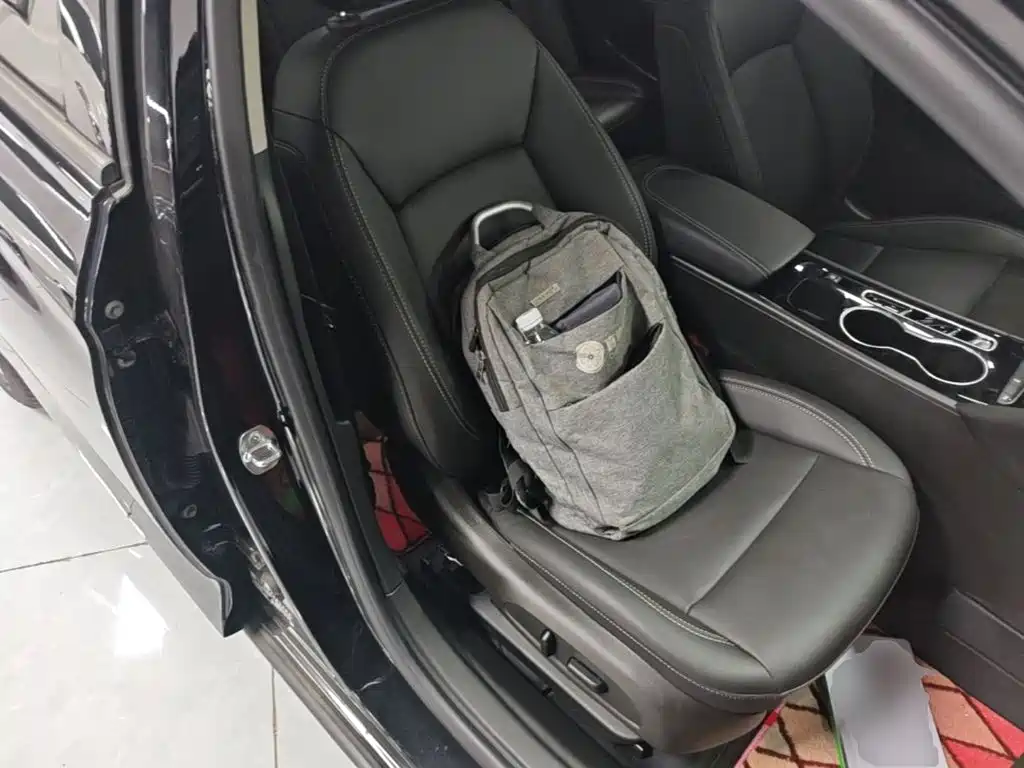 Buick Regal — миниатюра 25