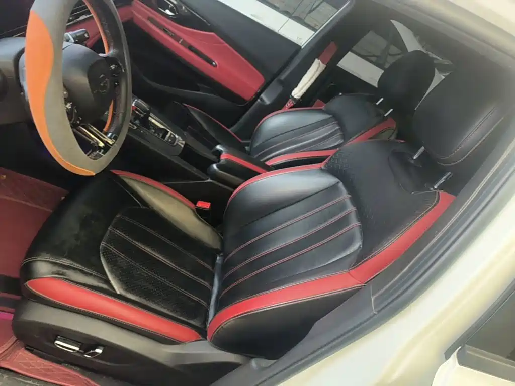 GAC Motor Shadow Leopard — миниатюра 15