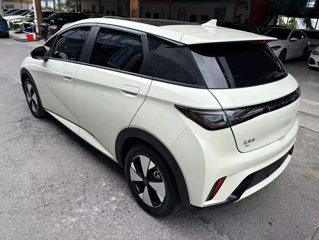 BYD Dolphin — миниатюра 13