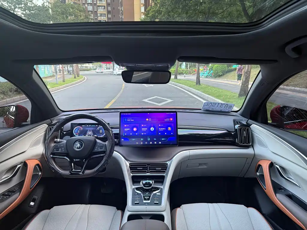BYD Pro New Energy — миниатюра 11