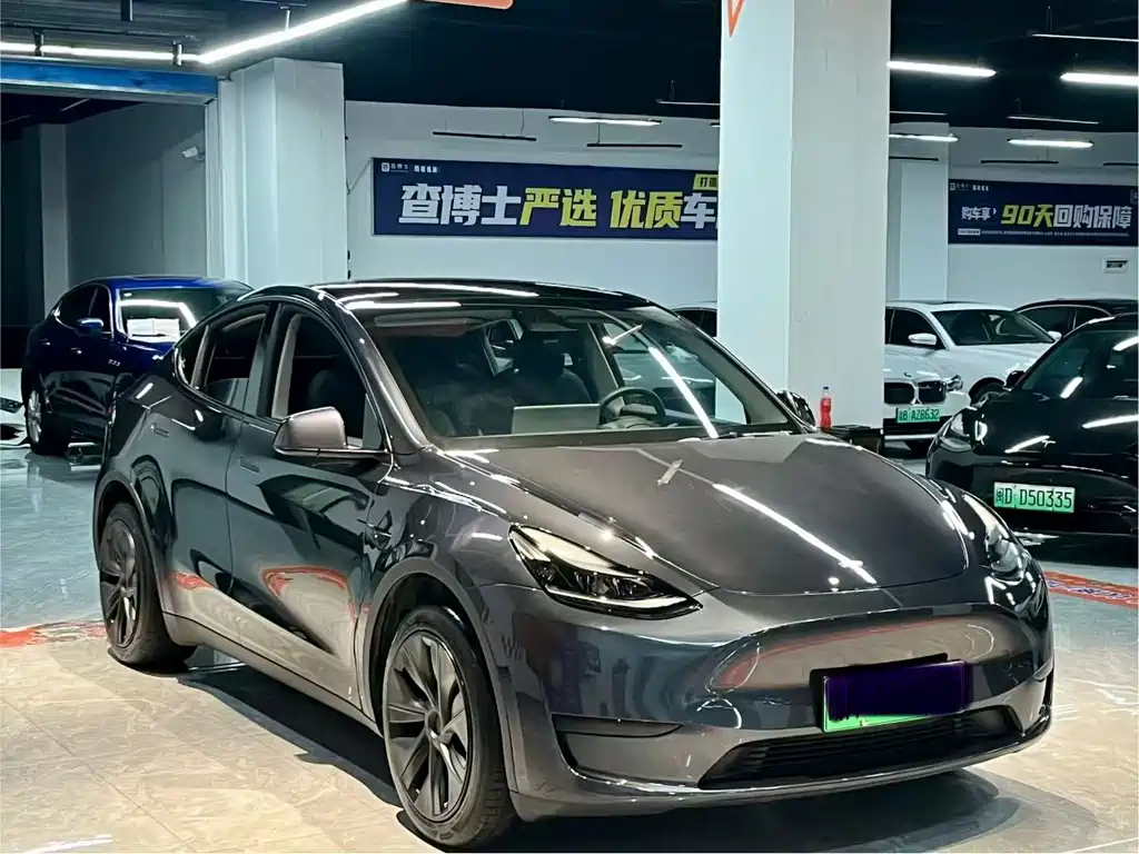Tesla Model Y — миниатюра 3