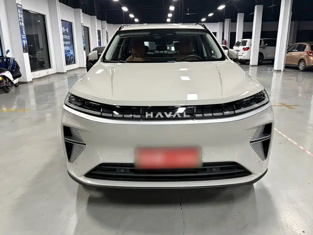 Haval Xiaolong MAX — миниатюра 9