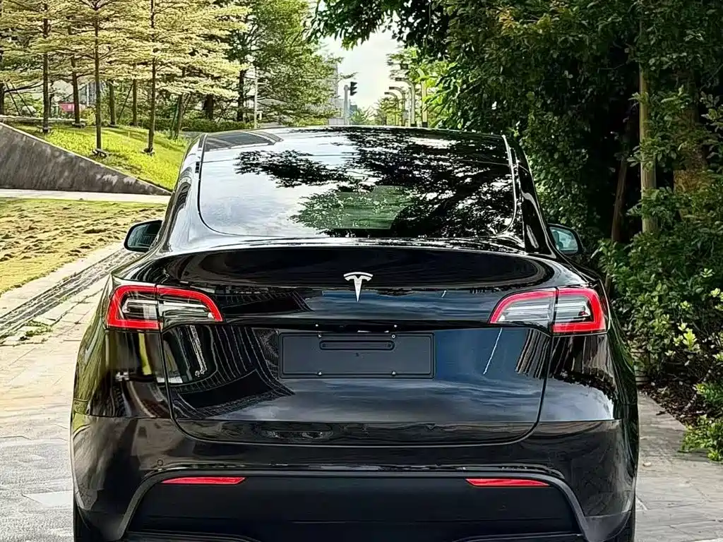 Tesla Model Y — миниатюра 5