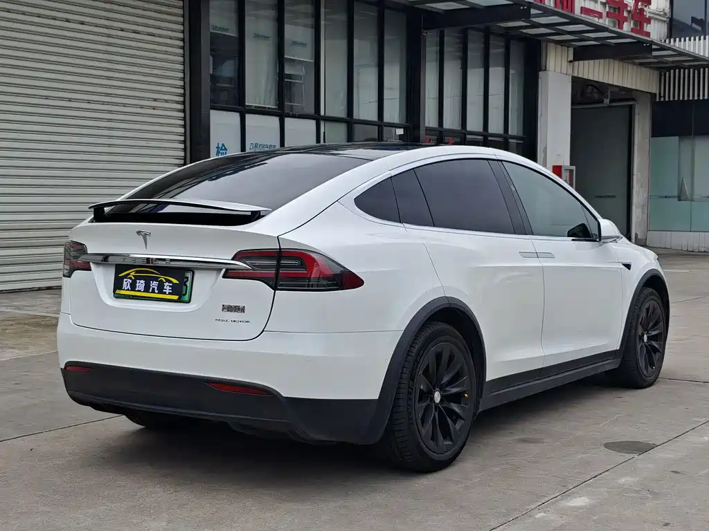 Tesla Model X — миниатюра 11
