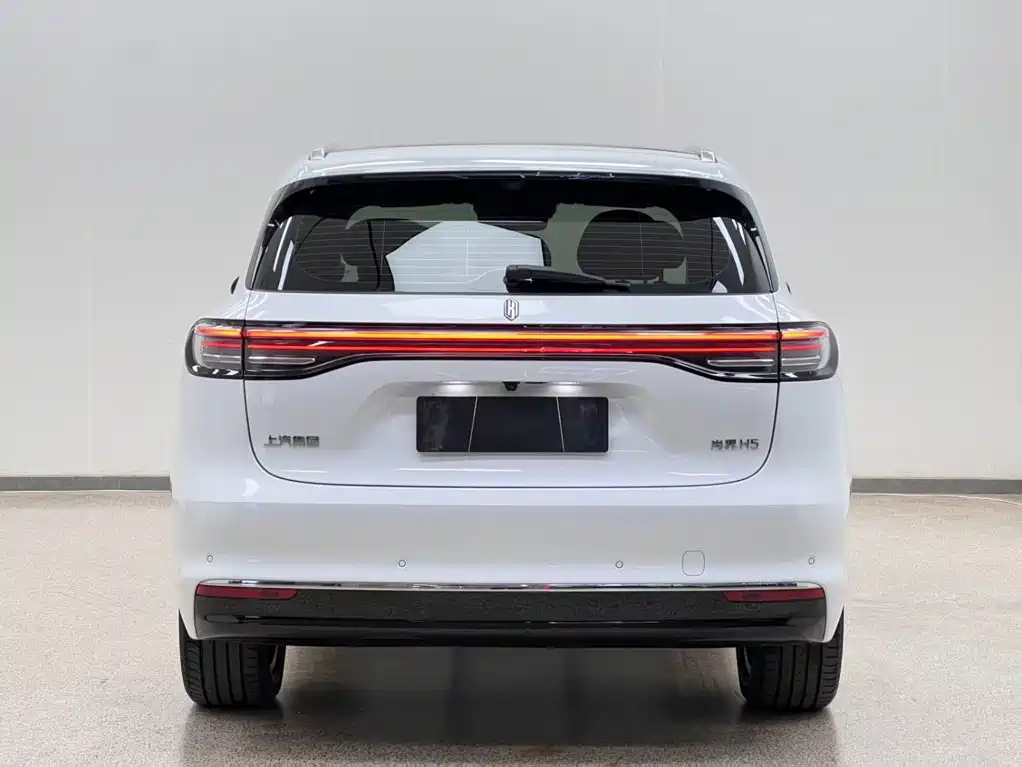 Shangjie Shangjie H5 — миниатюра 10