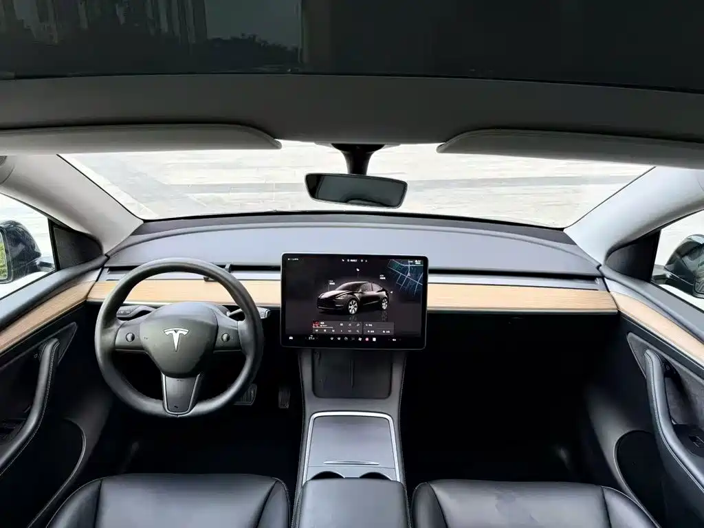 Tesla Model Y — миниатюра 8
