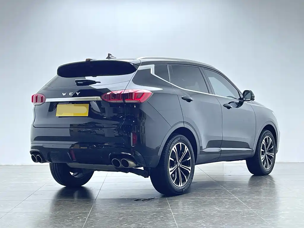 WEI PAI WEI BRAND VV6