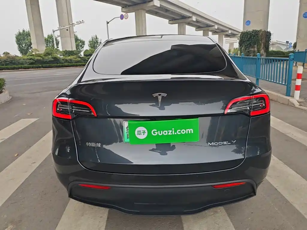 Tesla Model Y — миниатюра 6