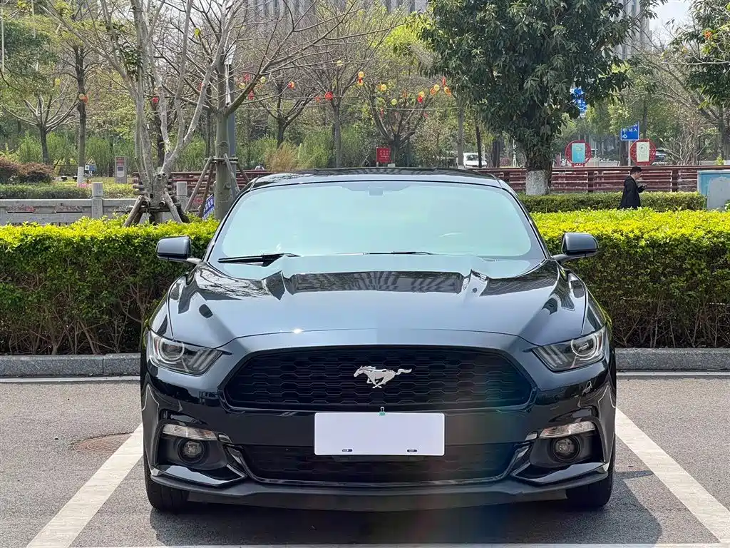 Ford Mustang 2015 2.3T 50