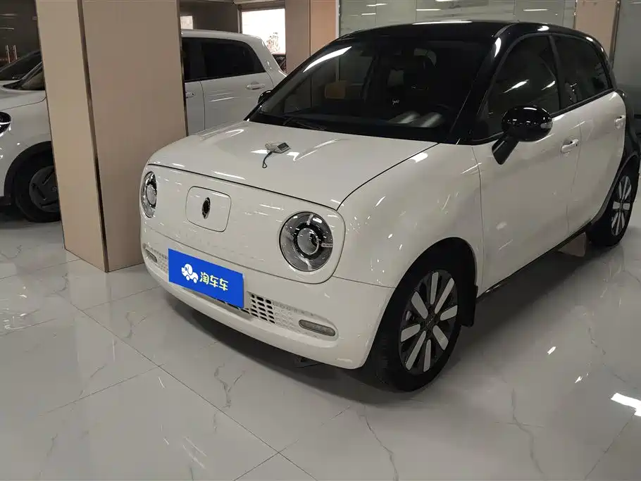ORA Black Cat 2021 351km Luxury Type