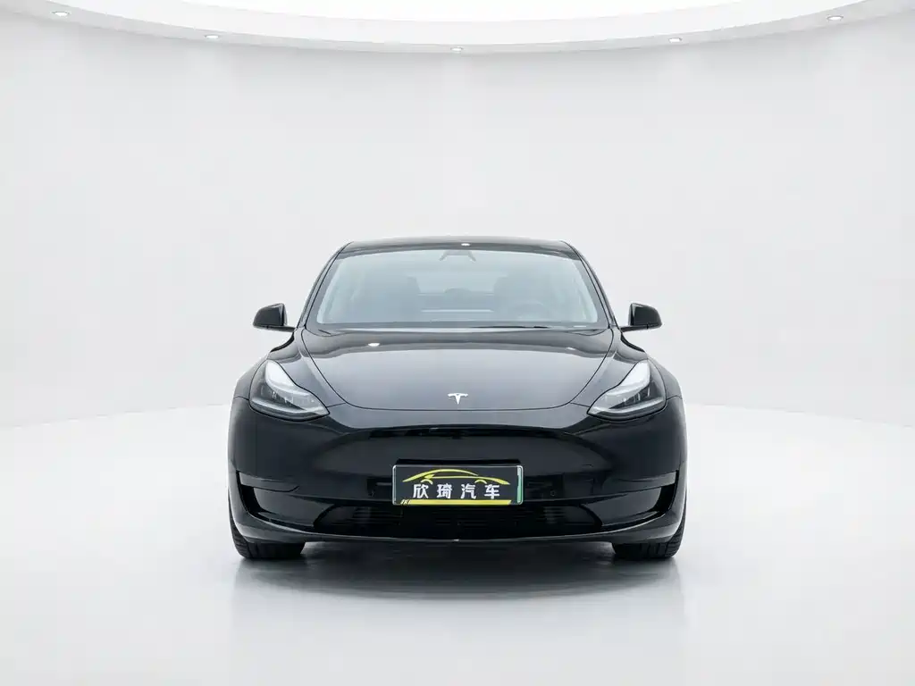 Tesla Model Y — миниатюра 2