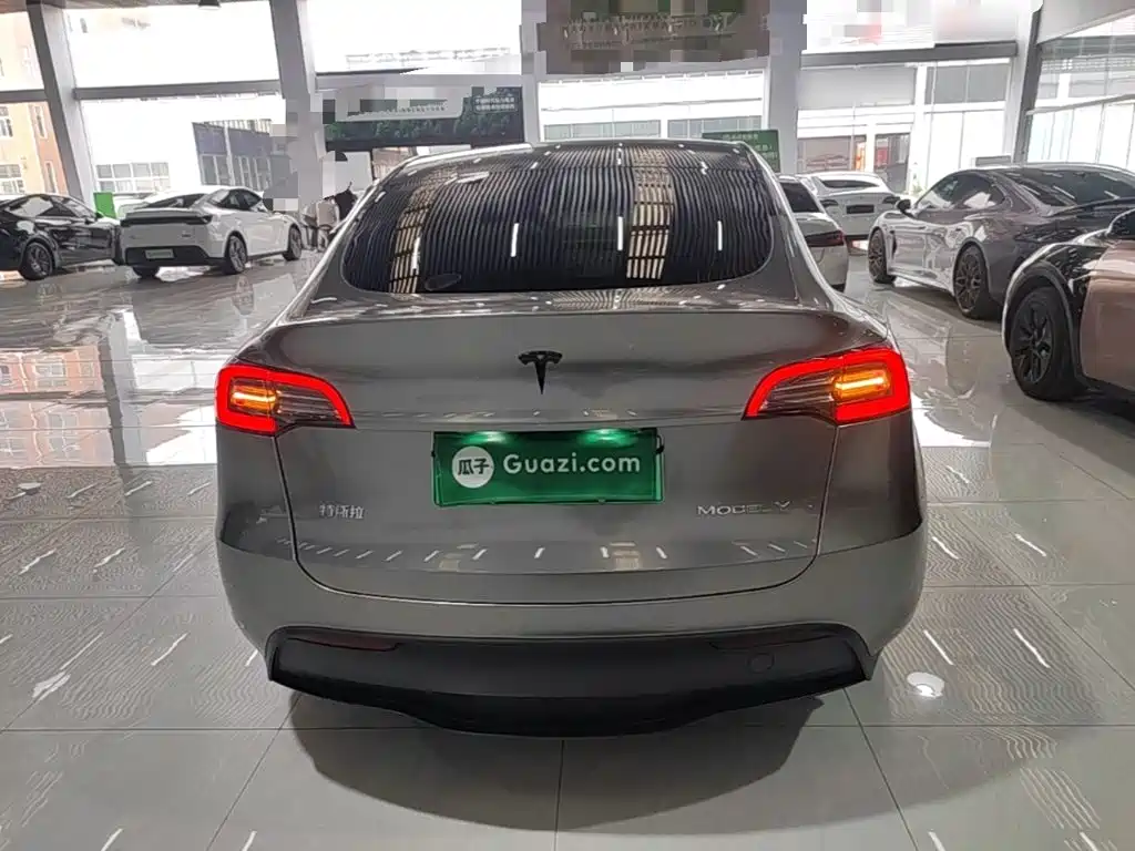 Tesla Model Y — миниатюра 6