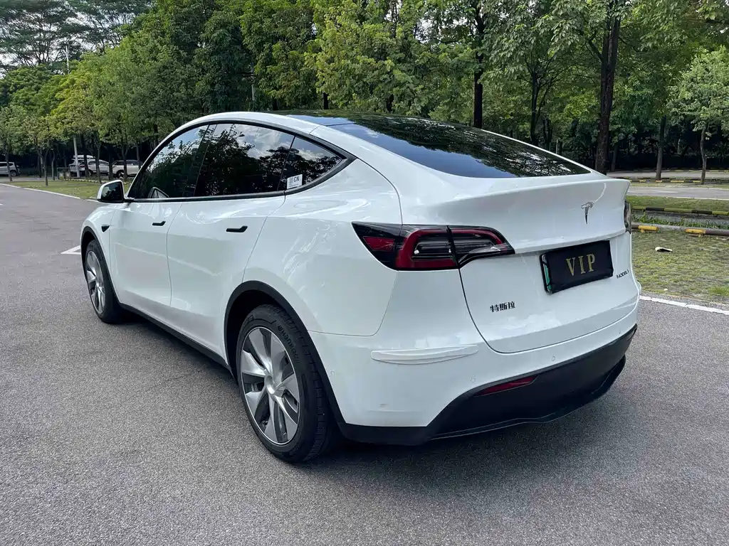 Tesla Model Y — миниатюра 4