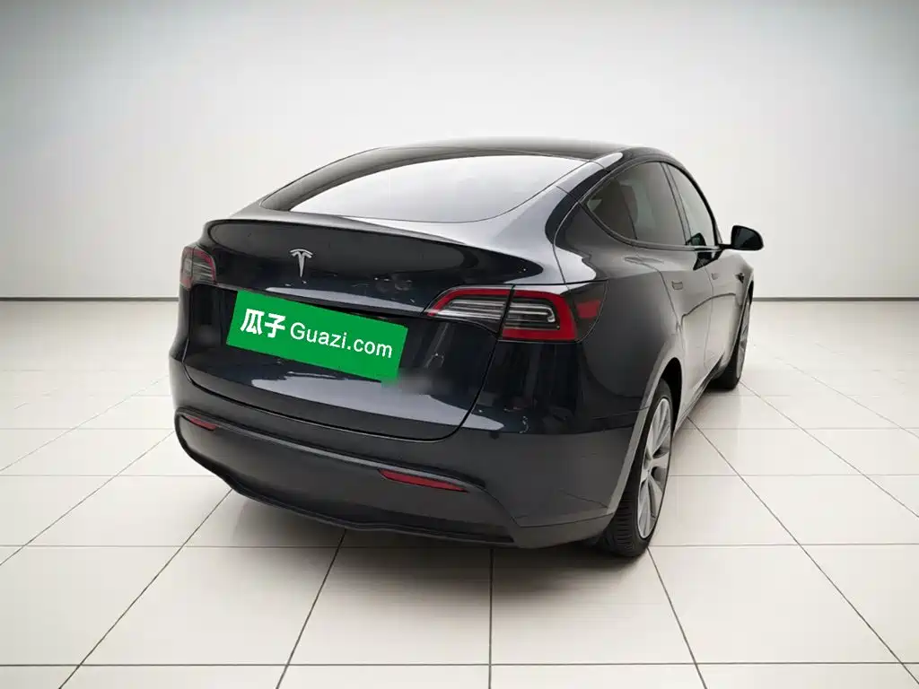 Tesla Model Y — миниатюра 6