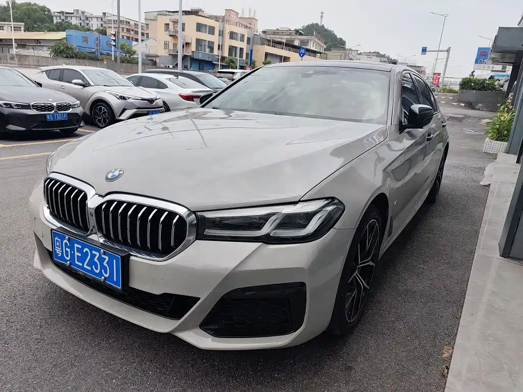 BMW 5 Series 2021