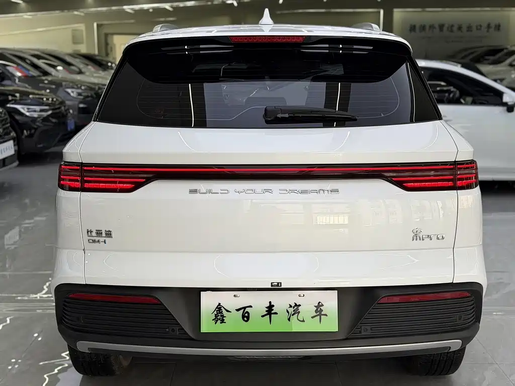 BYD Pro New Energy — миниатюра 8