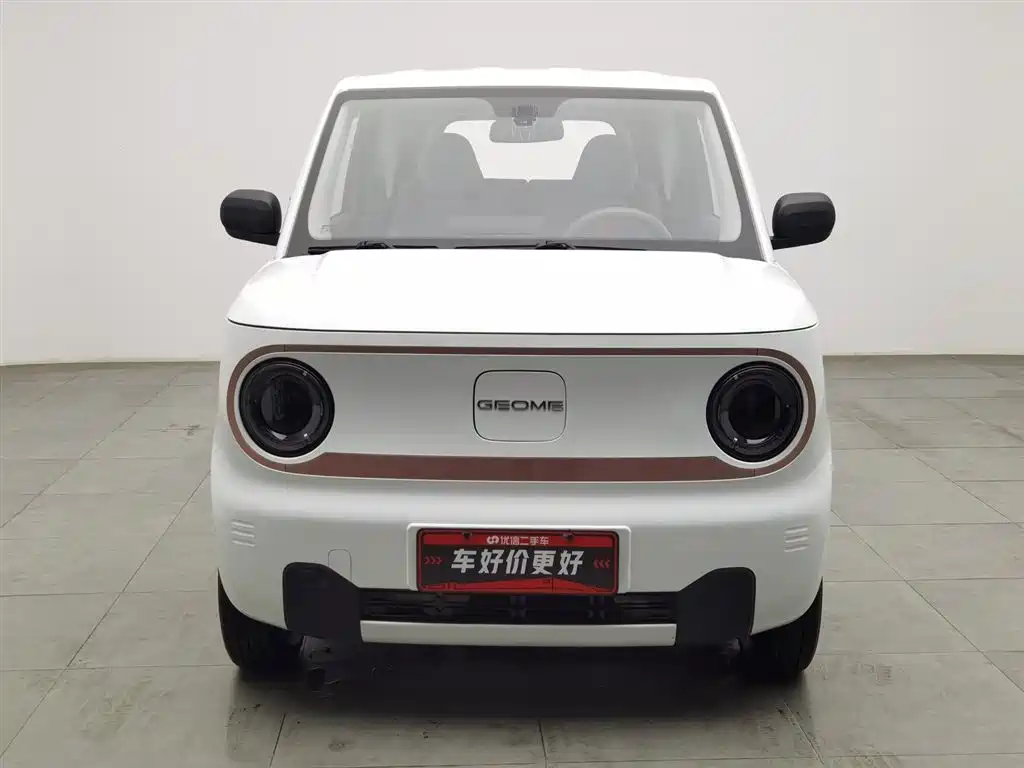 GEELY GALAXY PANDA
