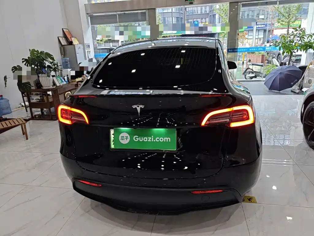 Tesla Model Y — миниатюра 6