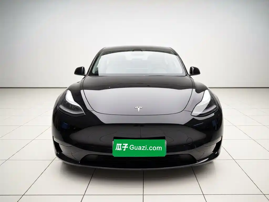Tesla Model Y — миниатюра 2