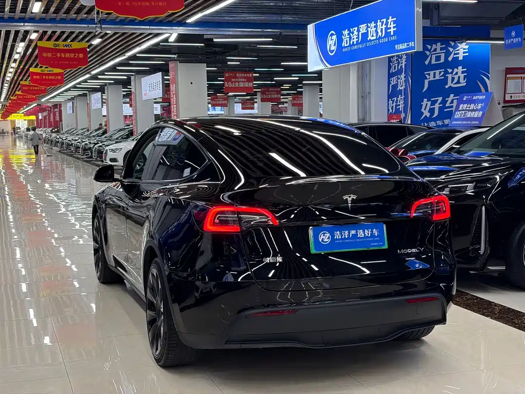 Tesla Model Y — миниатюра 4