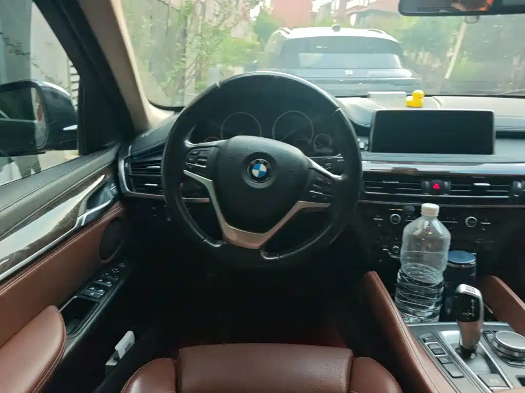 BMW X6 — миниатюра 11