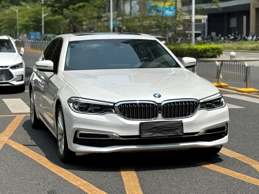 BMW 5 Series 5 2020 530Li Premium Luxury