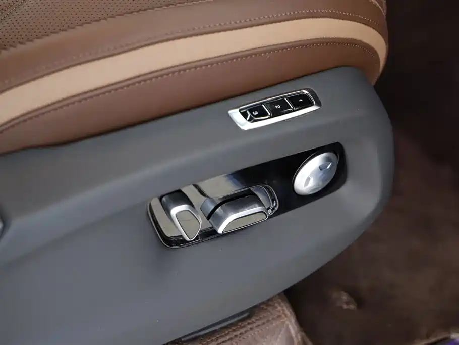 Hongqi Golden Sunflower Guoyao 4.0T Premium Baron Flagship Edition 4 seats, фото 18