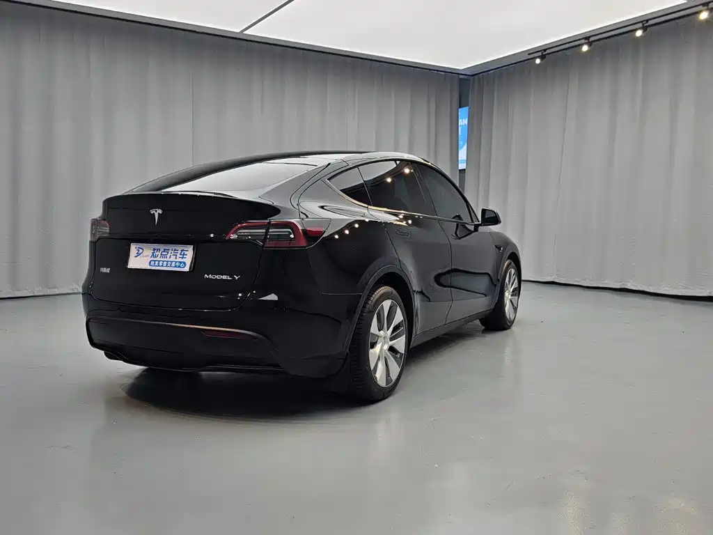 Tesla Model Y — миниатюра 5