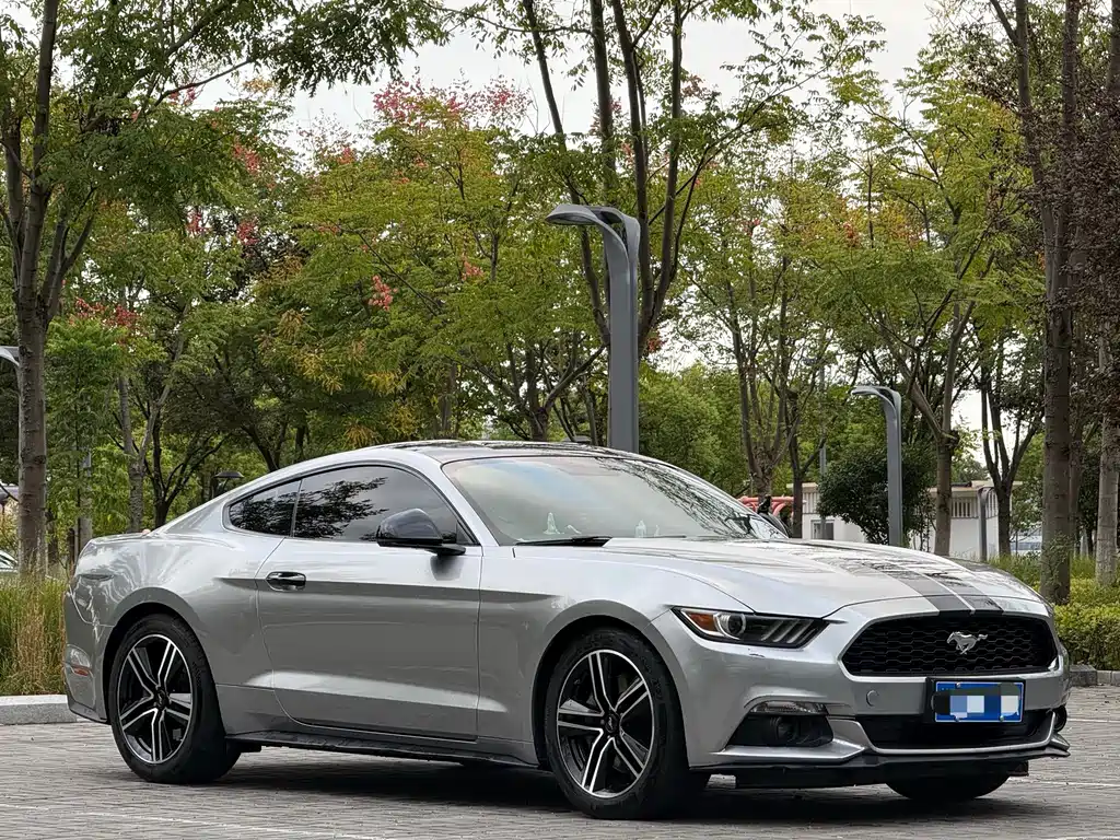 Ford Mustang — миниатюра 3