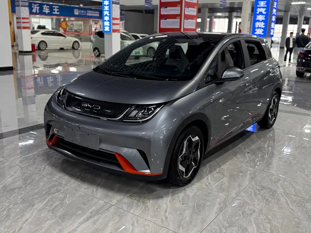 Byd Dolphin 2022