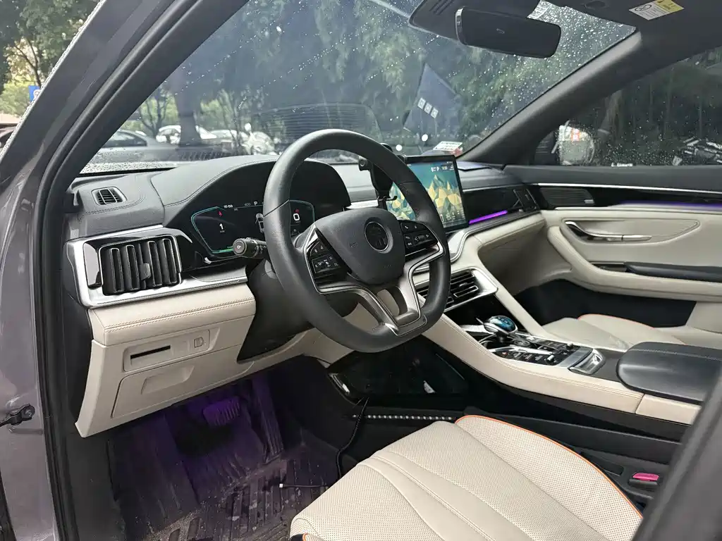 BYD PLUS New Energy — миниатюра 8