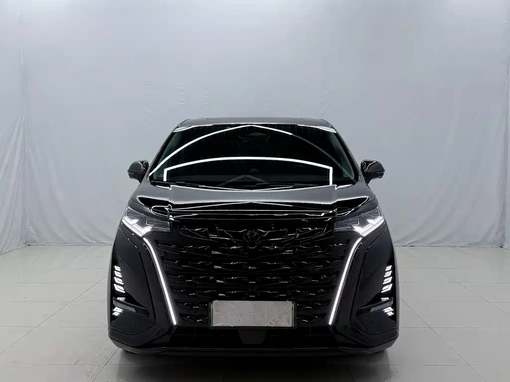 Denza Denza D9 — миниатюра 2